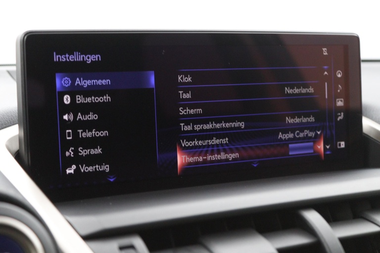 Lexus NX - 300h President Line Limited 49