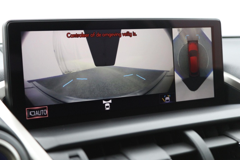 Lexus NX - 300h President Line Limited 51