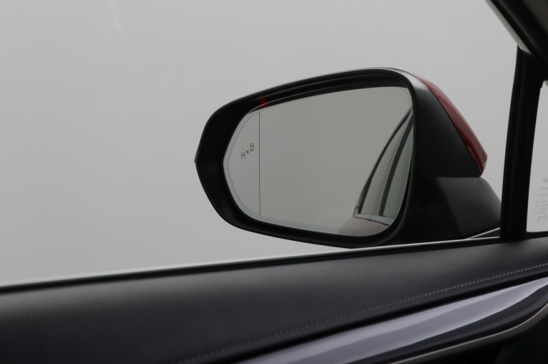 Lexus NX - 300h President Line Limited 54