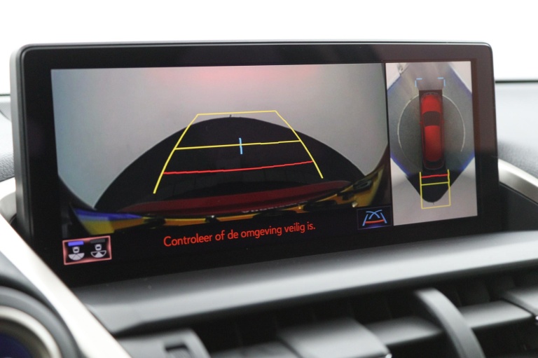 Lexus NX - 300h President Line Limited 9