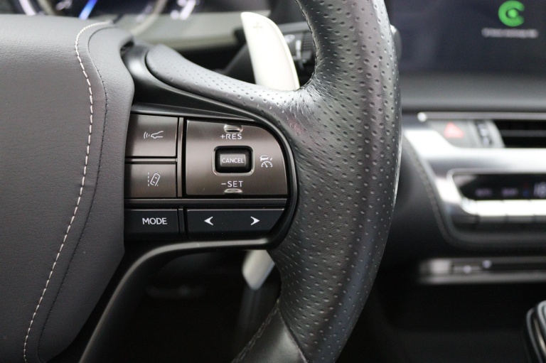 Lexus LC Convertible - 500 28