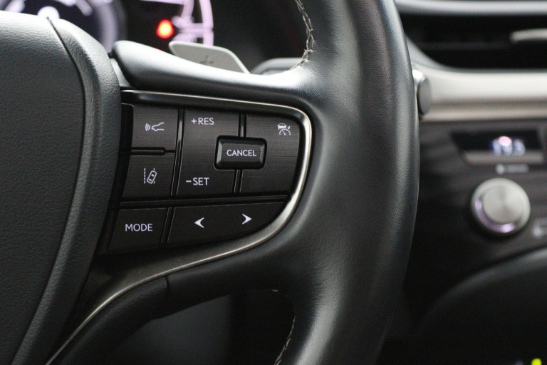 Lexus ES - 300h Preference Line 21