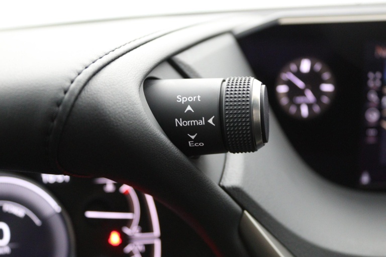 Lexus ES - 300h Preference Line 41