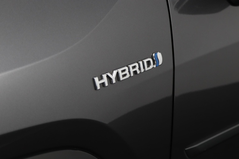 Toyota RAV4 - 2.5 Hybrid Bi-Tone 36