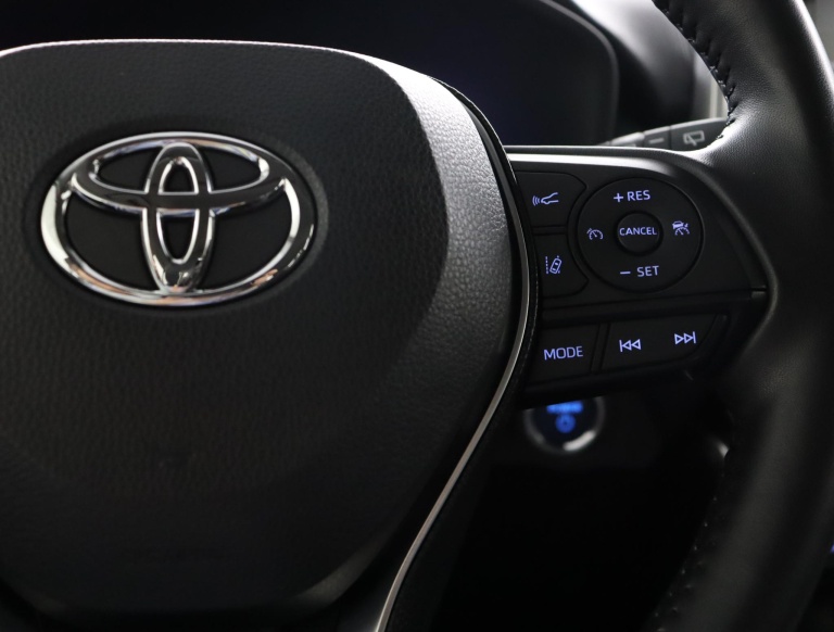 Toyota RAV4 - 2.5 Hybrid Business 19