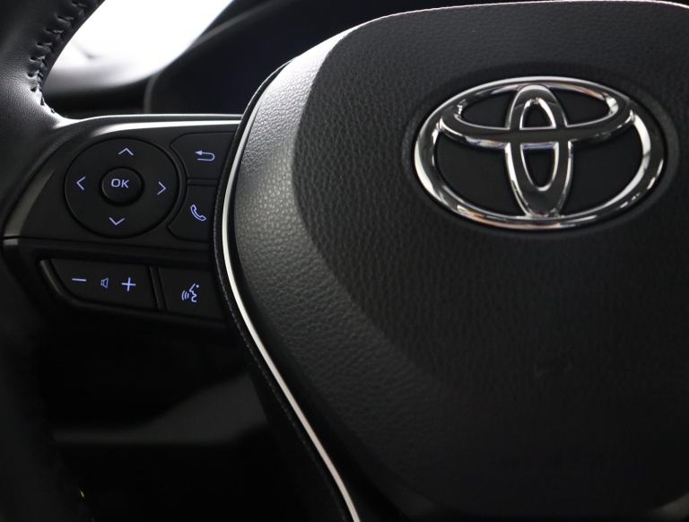 Toyota RAV4 - 2.5 Hybrid Business 21