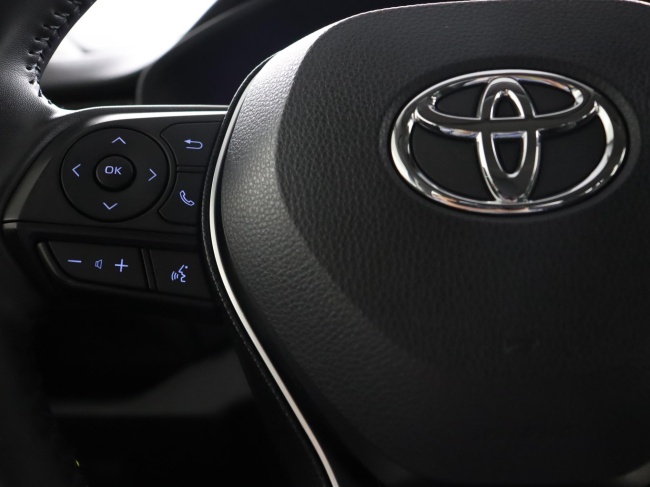 Toyota RAV4 - 2.5 Hybrid Business