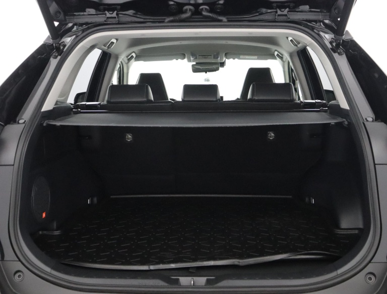 Toyota RAV4 - 2.5 Hybrid AWD Executive 26