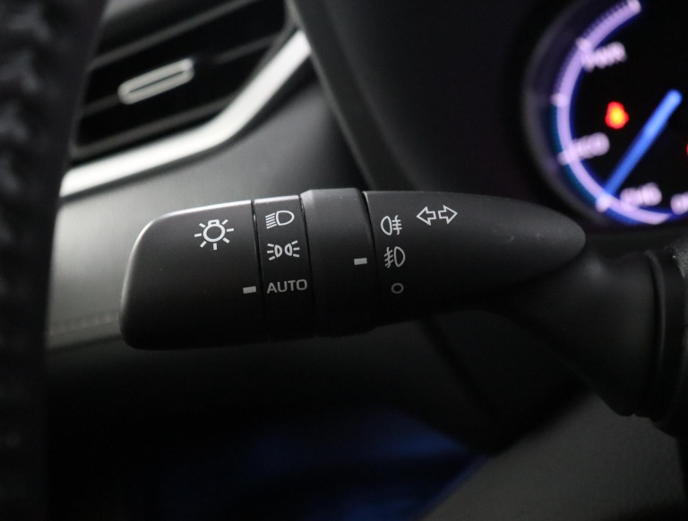 Toyota RAV4 - 2.5 Hybrid AWD Executive 33