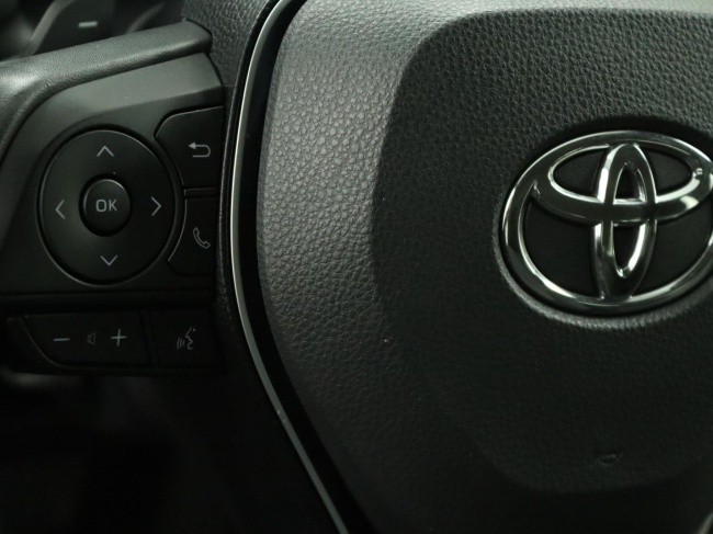 Toyota RAV4 - 2.5 Hybrid AWD Active