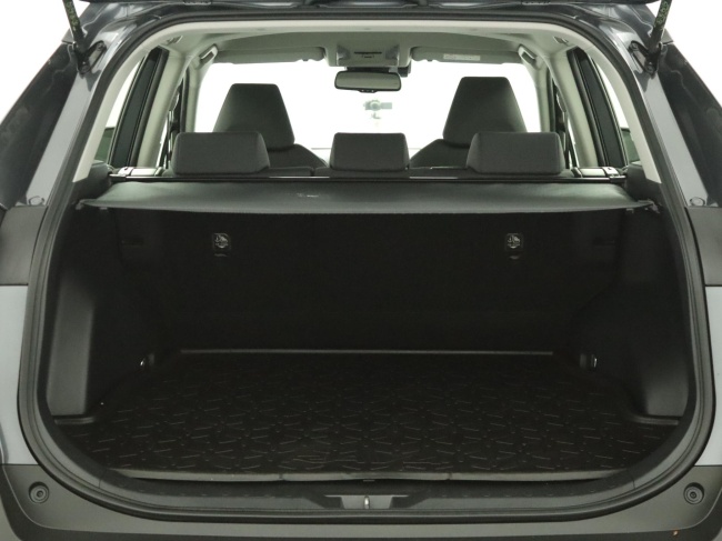 Toyota RAV4 - 2.5 Hybrid AWD Active