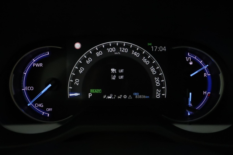 Toyota RAV4 - 2.5 Hybrid AWD Active 46