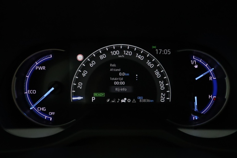 Toyota RAV4 - 2.5 Hybrid AWD Active 48