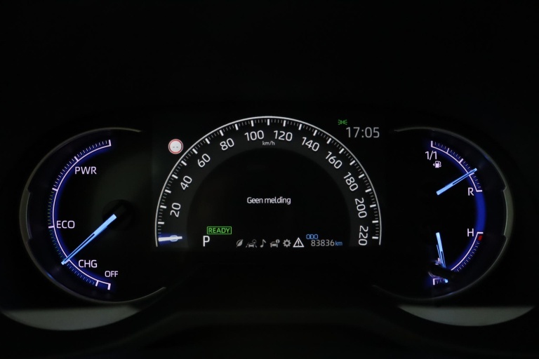 Toyota RAV4 - 2.5 Hybrid AWD Active 53