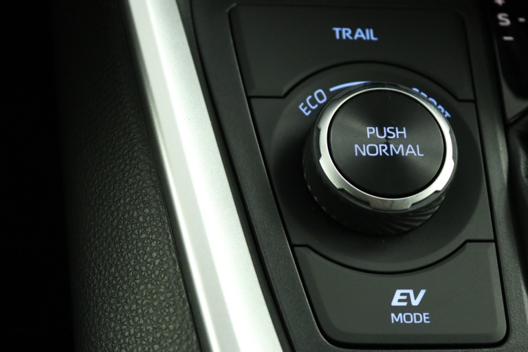 Toyota RAV4 - 2.5 Hybrid AWD Active 63