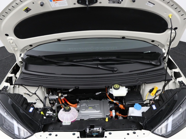 BYD DOLPHIN SURF - Boost 43 kWh