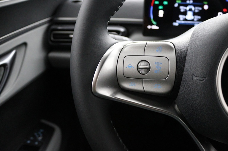 BYD DOLPHIN SURF - Boost 43 kWh 16