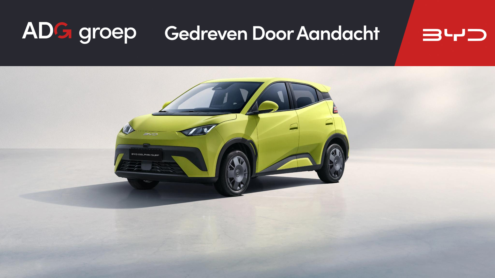 BYD DOLPHIN SURF - Active 30 kWh