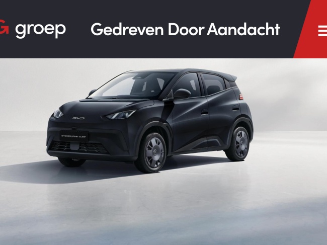 BYD DOLPHIN SURF - Active 30 kWh