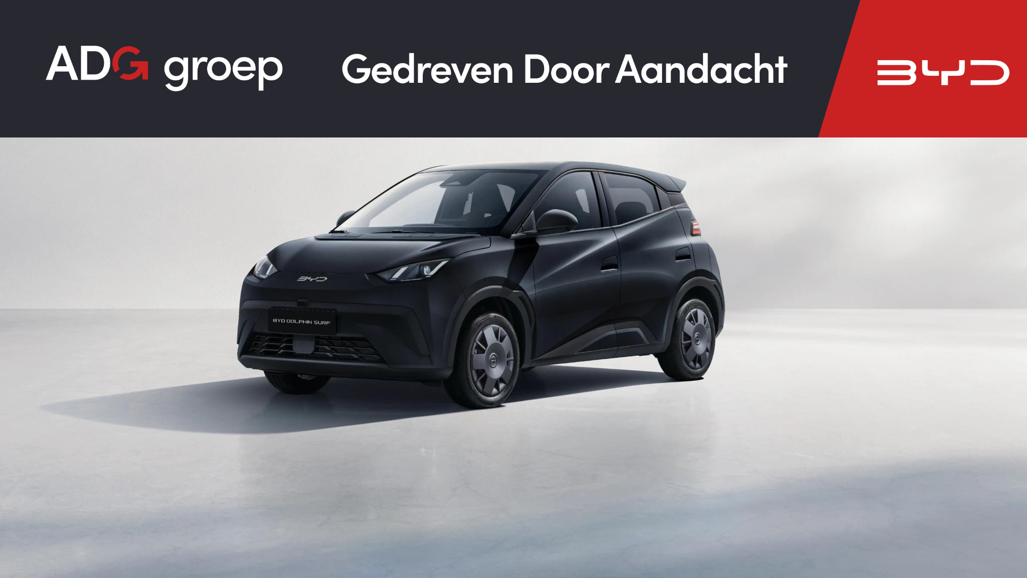 BYD DOLPHIN SURF - Active 30 kWh