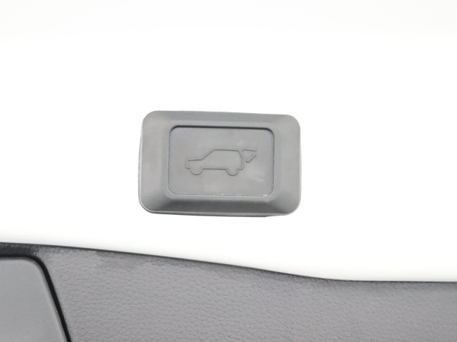 Toyota RAV4 - 2.5 Plug-in Hybrid AWD Bi-Tone Plus