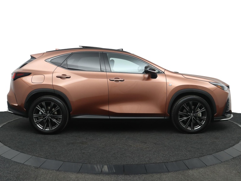 Lexus NX - 450h+ AWD F SPORT Line 12