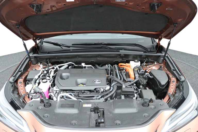 Lexus NX - 450h+ AWD F SPORT Line 33