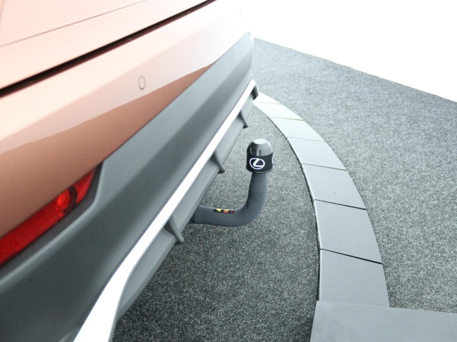 Lexus NX - 450h+ AWD F SPORT Line