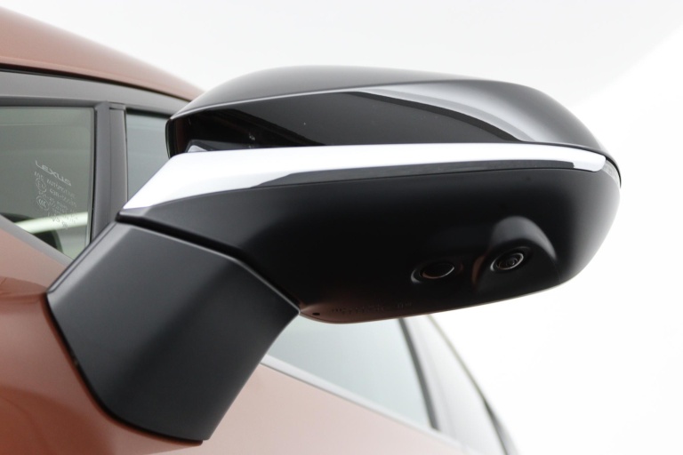 Lexus NX - 450h+ AWD F SPORT Line 36