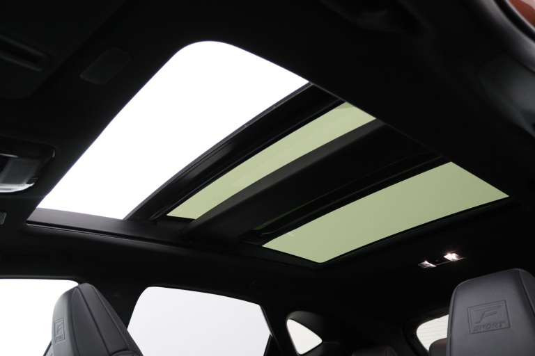 Lexus NX - 450h+ AWD F SPORT Line 48