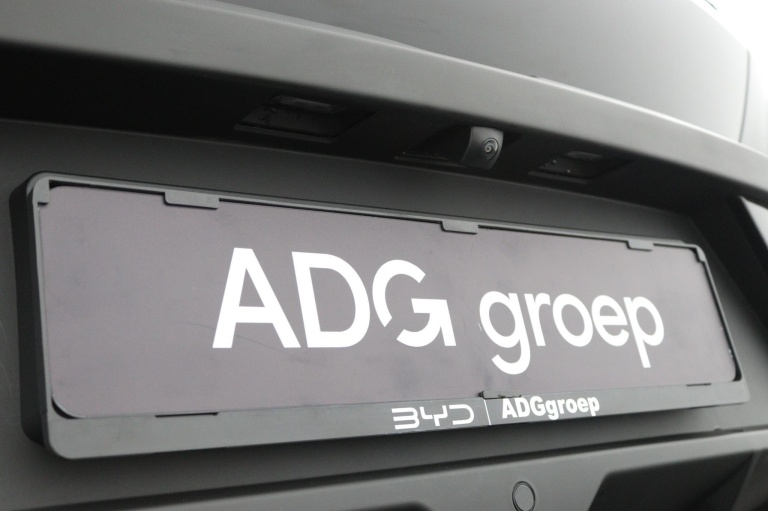 BYD DOLPHIN SURF - Boost 43 kWh 20