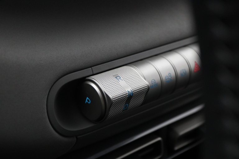 BYD DOLPHIN SURF - Boost 43 kWh 28