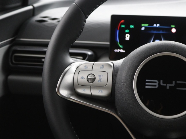 BYD DOLPHIN SURF - Boost 43 kWh