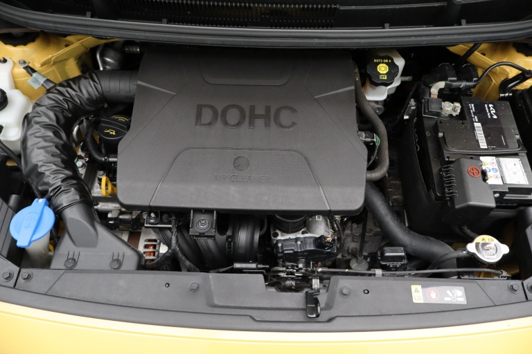 Kia Picanto - 1.0 CVVT EconomyPlusLine 31