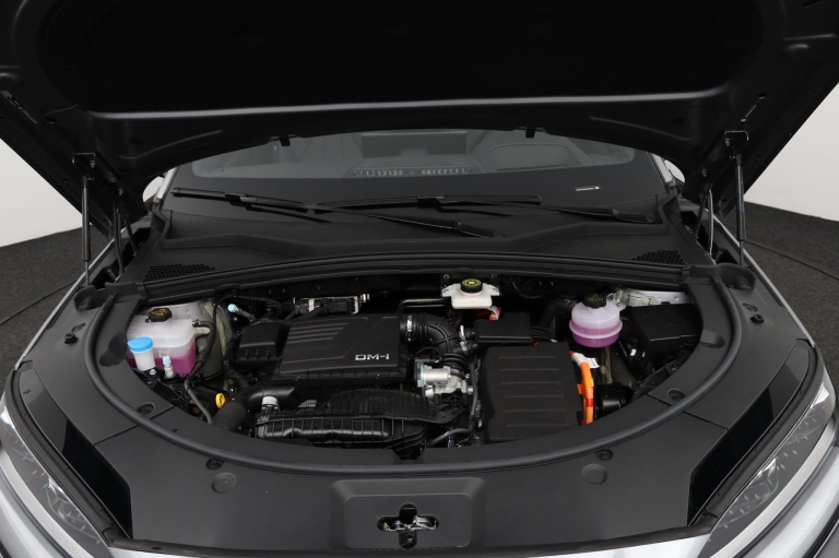 BYD SEAL U - 1.5 DM-i FWD Boost 29