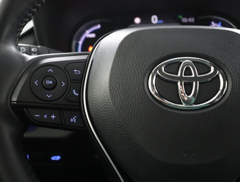 Toyota RAV4 - 2.5 Hybrid AWD Bi-Tone 19