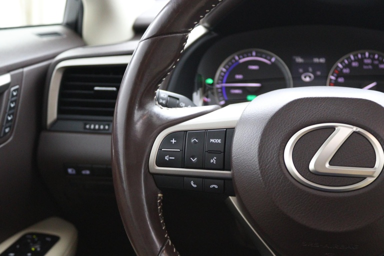 Lexus RX - 450h 4WD Luxury Line 19