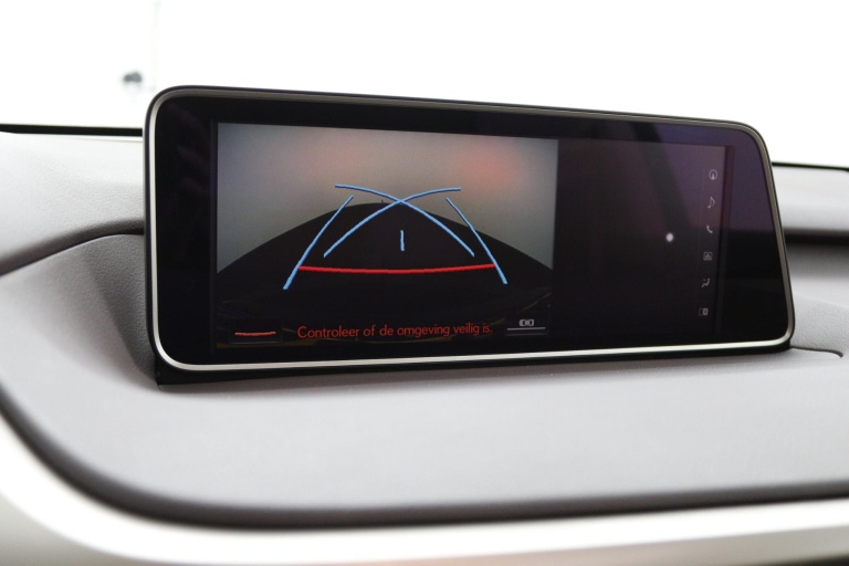 Lexus RX - 450h 4WD Luxury Line 9