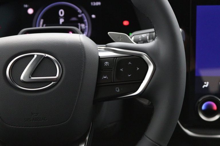 Lexus RZ - 350e 35th Edition 77 kWh 19