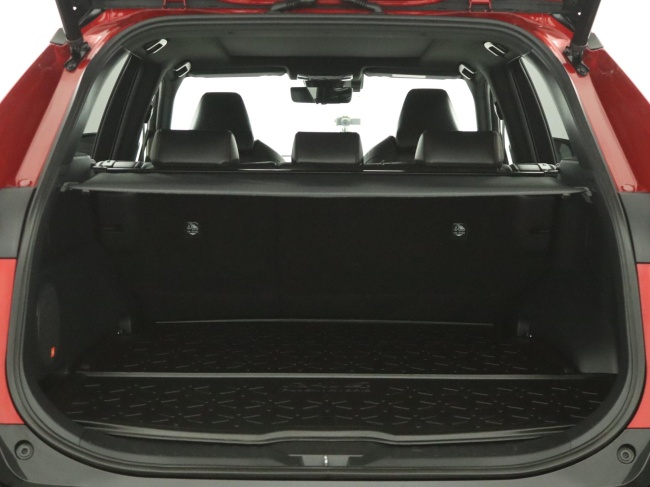 Toyota RAV4 - 2.5 Plug-in Hybrid AWD Bi-Tone Plus