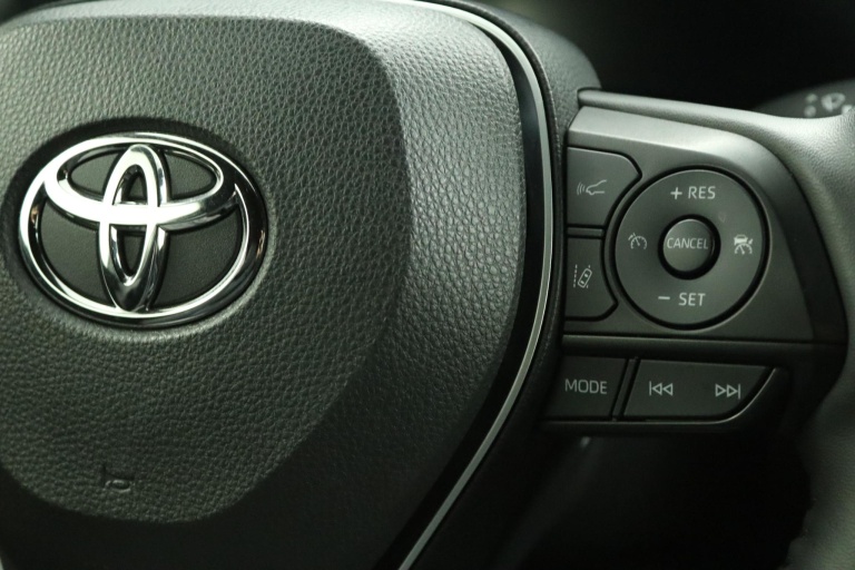 Toyota RAV4 - 2.5 Hybrid AWD Bi-Tone 21