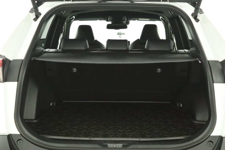 Toyota RAV4 - 2.5 Hybrid AWD Bi-Tone 23