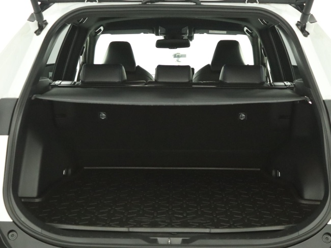 Toyota RAV4 - 2.5 Hybrid AWD Bi-Tone