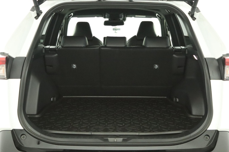 Toyota RAV4 - 2.5 Hybrid AWD Bi-Tone 24