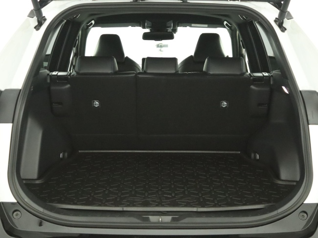 Toyota RAV4 - 2.5 Hybrid AWD Bi-Tone