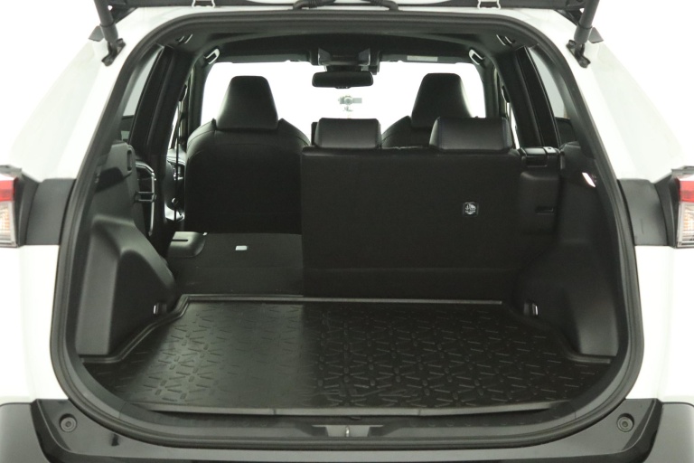 Toyota RAV4 - 2.5 Hybrid AWD Bi-Tone 25