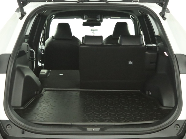 Toyota RAV4 - 2.5 Hybrid AWD Bi-Tone