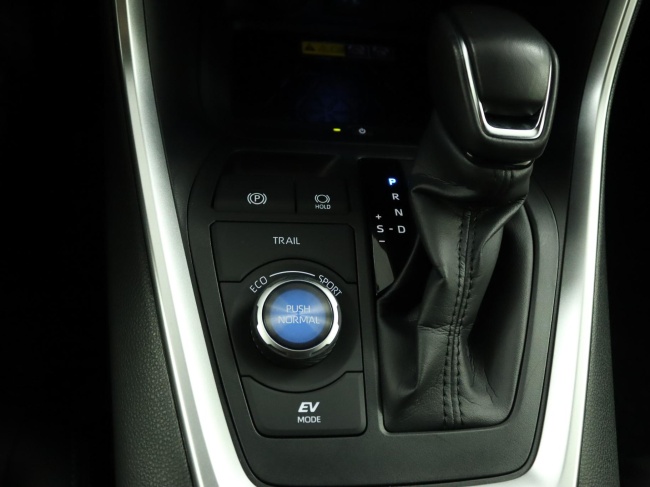 Toyota RAV4 - 2.5 Hybrid AWD Bi-Tone