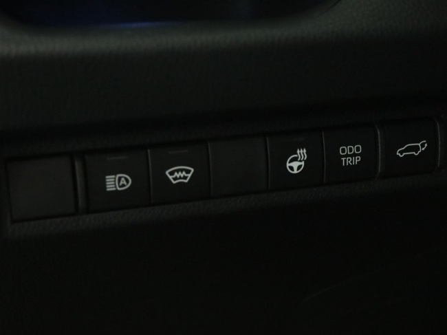 Toyota RAV4 - 2.5 Hybrid AWD Bi-Tone