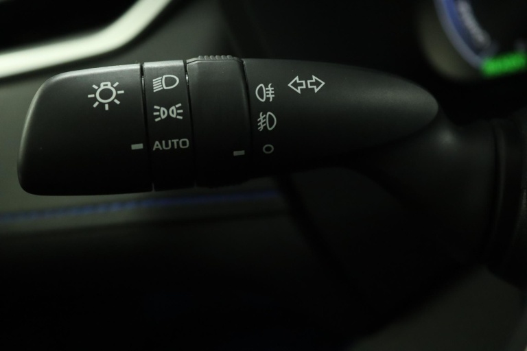 Toyota RAV4 - 2.5 Hybrid AWD Bi-Tone 32